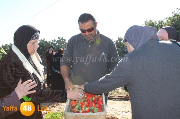 re7la tolkarem (67).JPG